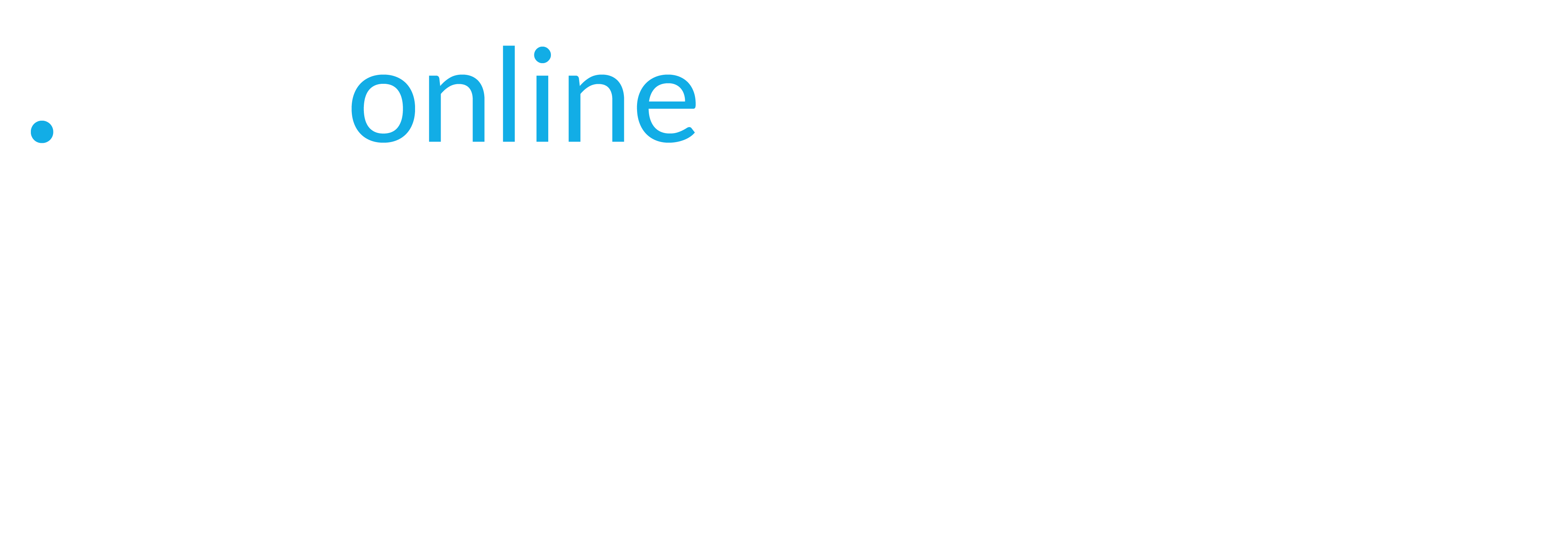 Motie Rubin Professionals